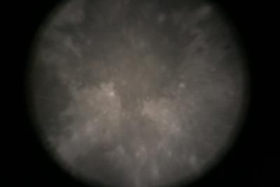 img_7346.jpg